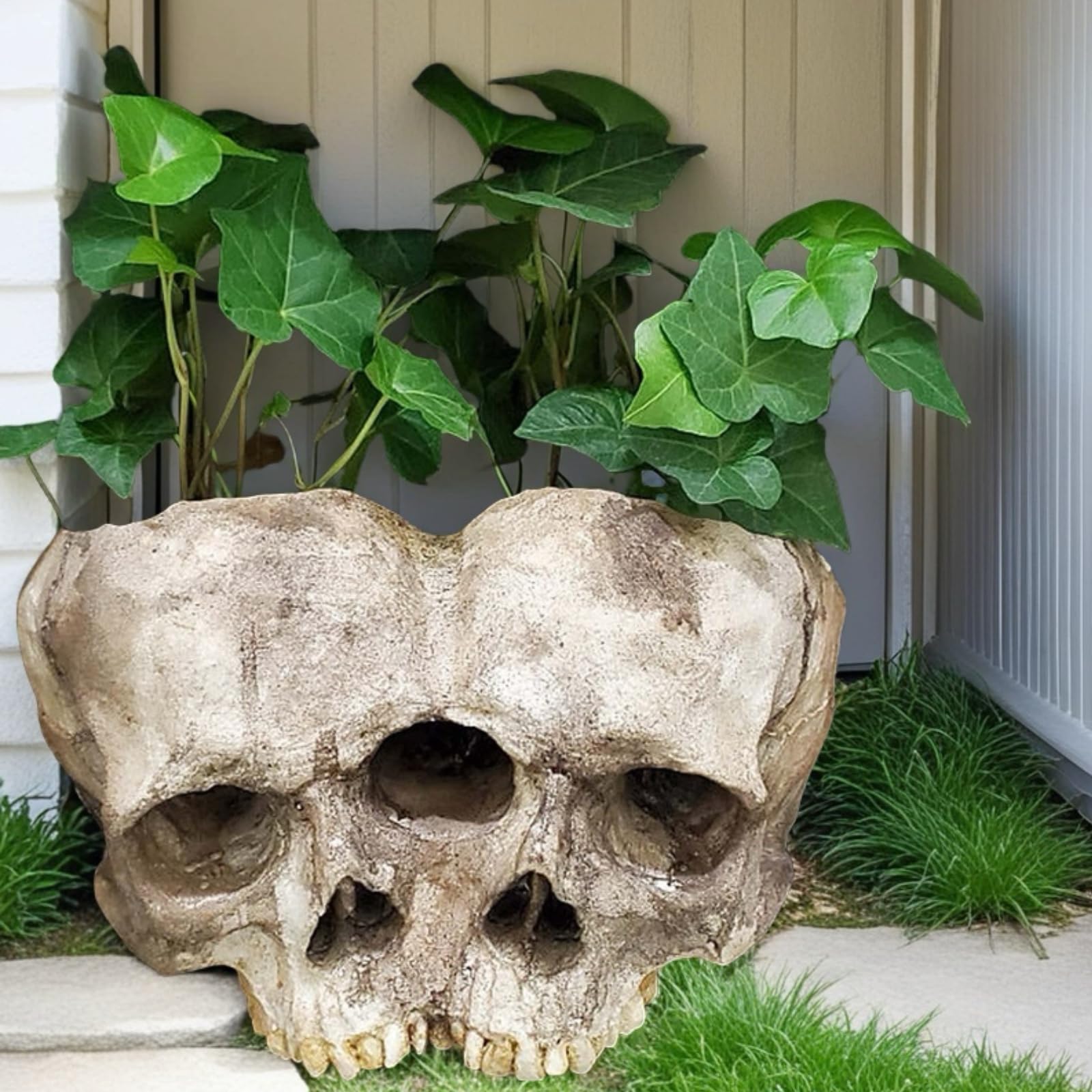 Amazon.com : Double Skull Resin Planter - Gothic Style Flower Pot